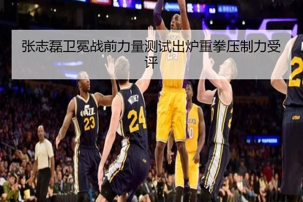 张志磊卫冕战前力量测试出炉重拳压制力受评