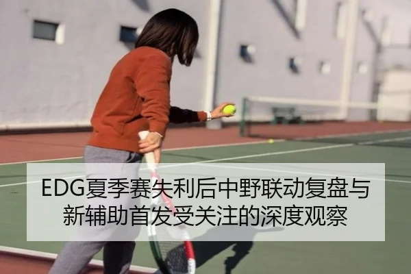 EDG夏季赛失利后中野联动复盘与新辅助首发受关注的深度观察